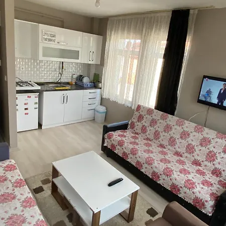 Taner 公寓 埃迪尔内